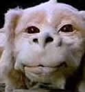 Falkor